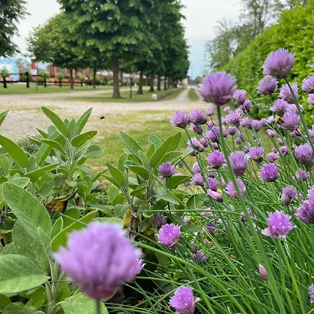 Agroturismo Al Buttasella