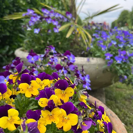 Al Buttasella Agroturismo Lavariano