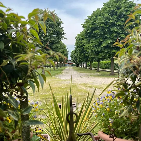 Al Buttasella Lavariano