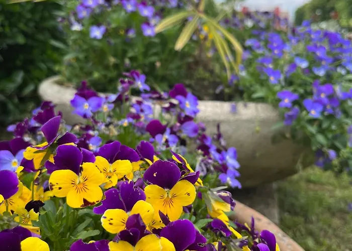 Al Buttasella Farm stay Lavariano